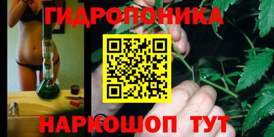 кокс Гай