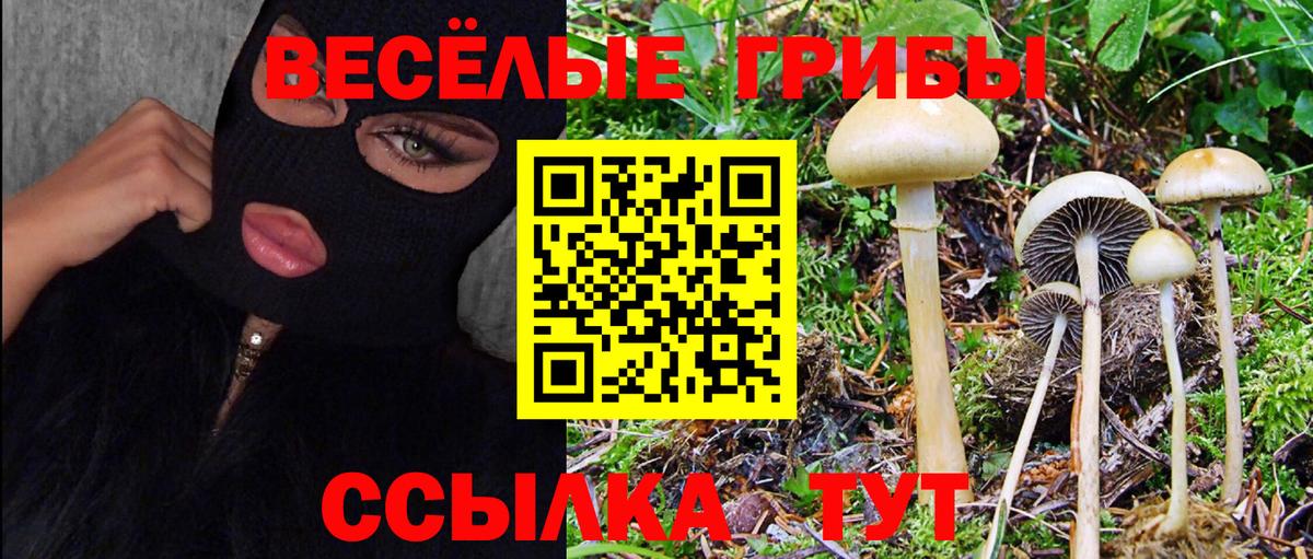Экстази Городец