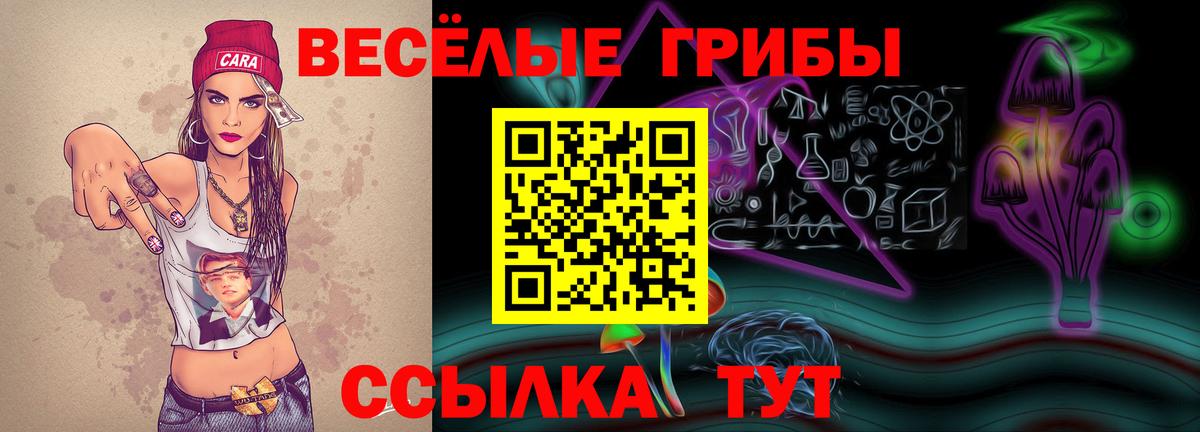 Городец  Галлюциногенные грибы GOLDEN TEACHER  Псилоцибиновые грибы прущие грибы  Вход с VPN 